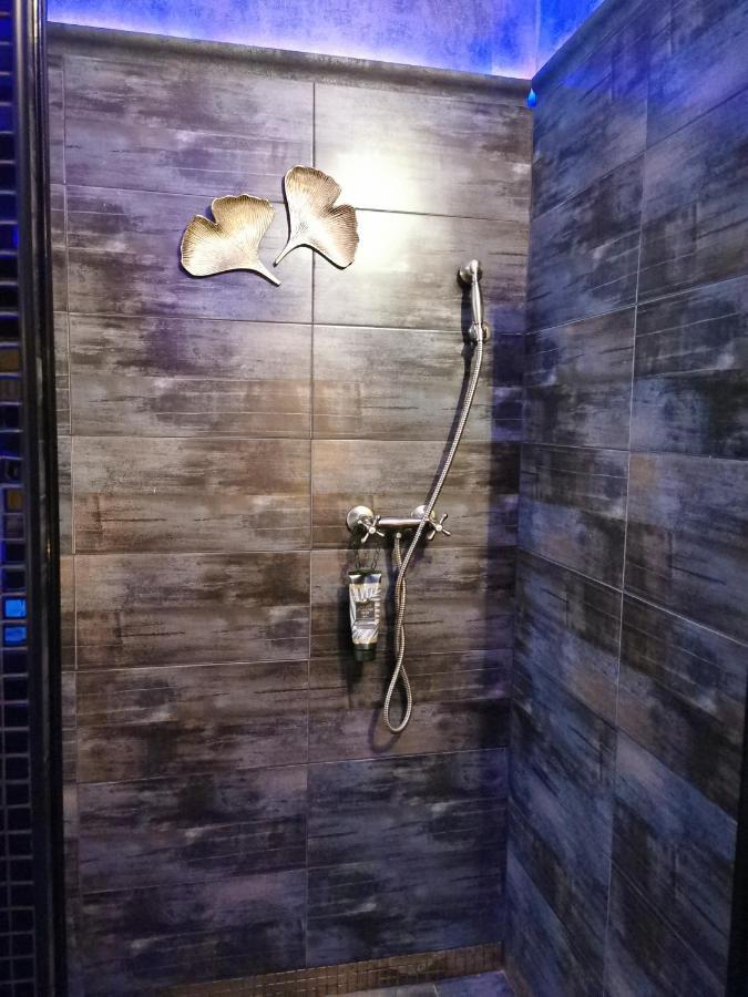 Wellness Stodolni Ostravaアパートメント エクステリア 写真